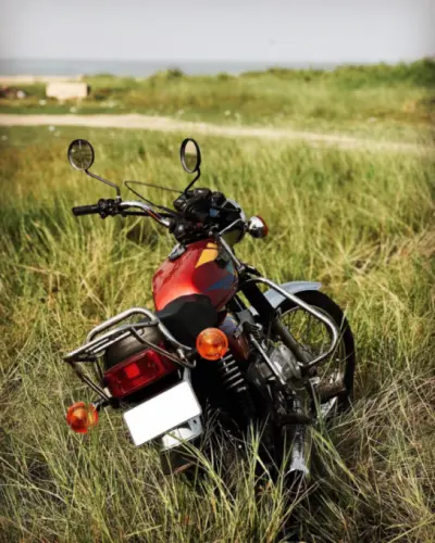 Bajaj Pulsar 150 2017, reliable daily runner